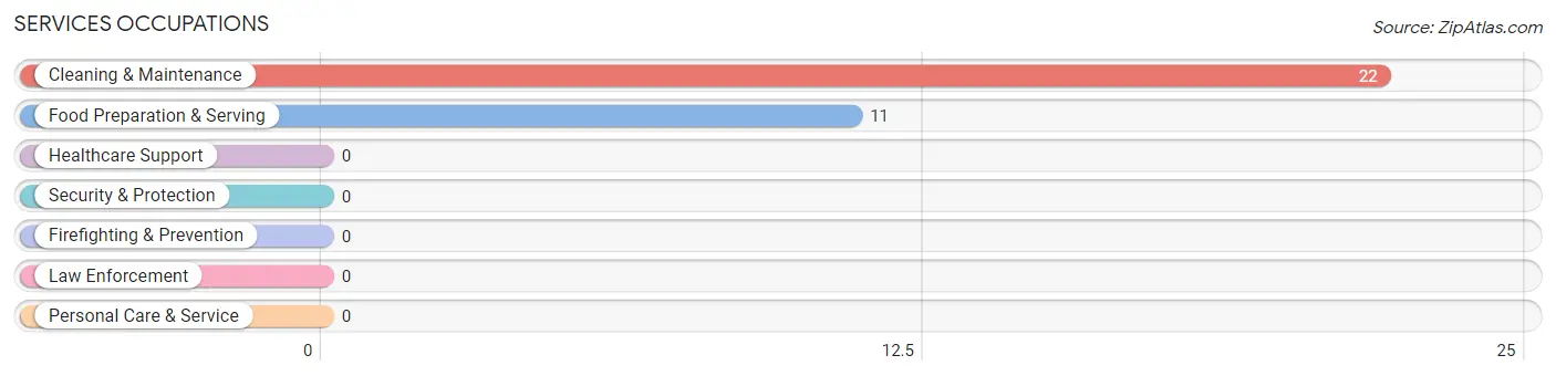 Services Occupations in Hubbell