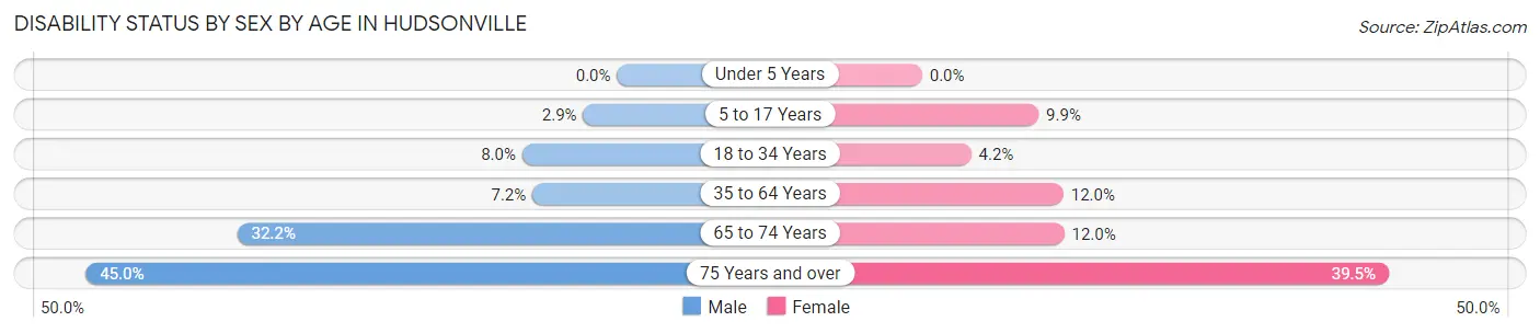 Disability Status by Sex by Age in Hudsonville