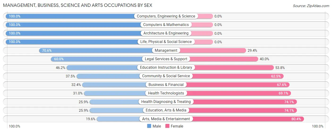 Management, Business, Science and Arts Occupations by Sex in Hudsonville