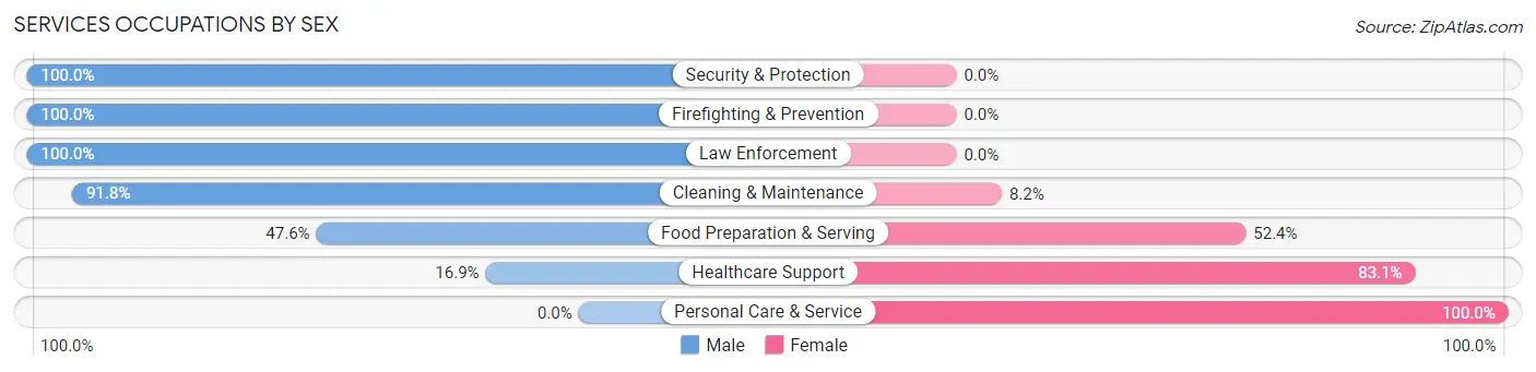 Services Occupations by Sex in Hudsonville