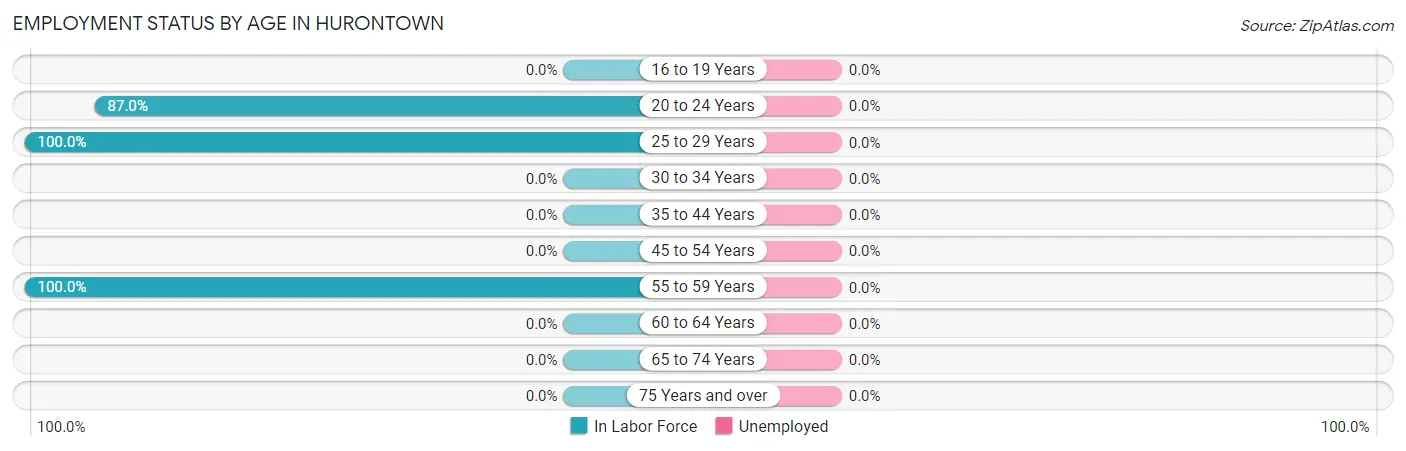 Employment Status by Age in Hurontown