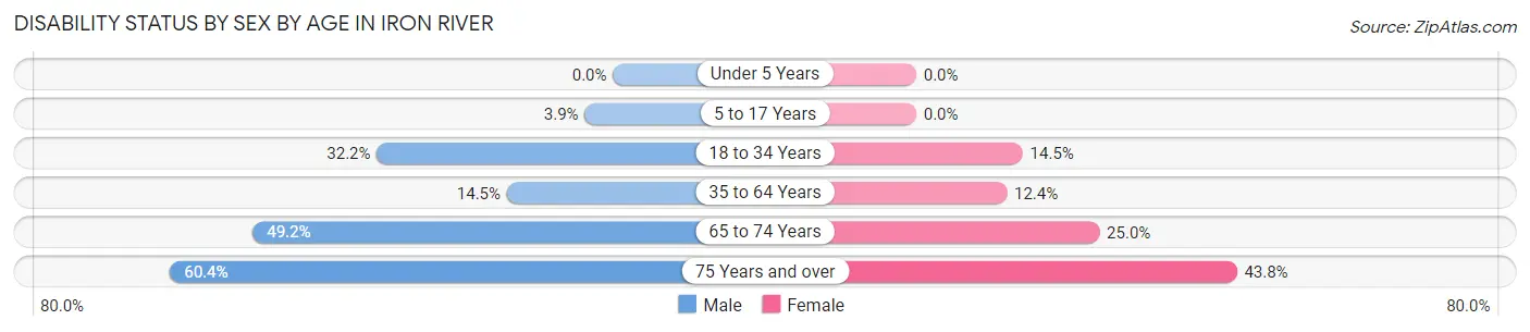 Disability Status by Sex by Age in Iron River