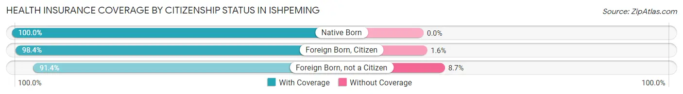 Health Insurance Coverage by Citizenship Status in Ishpeming