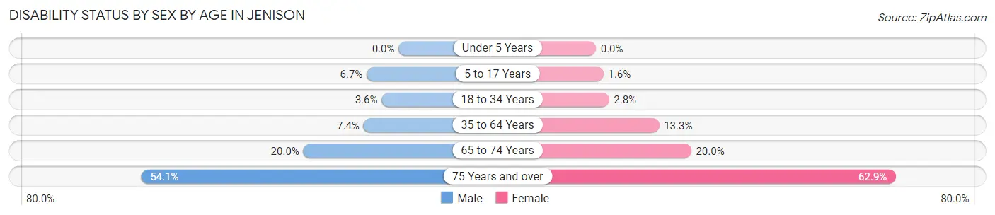 Disability Status by Sex by Age in Jenison