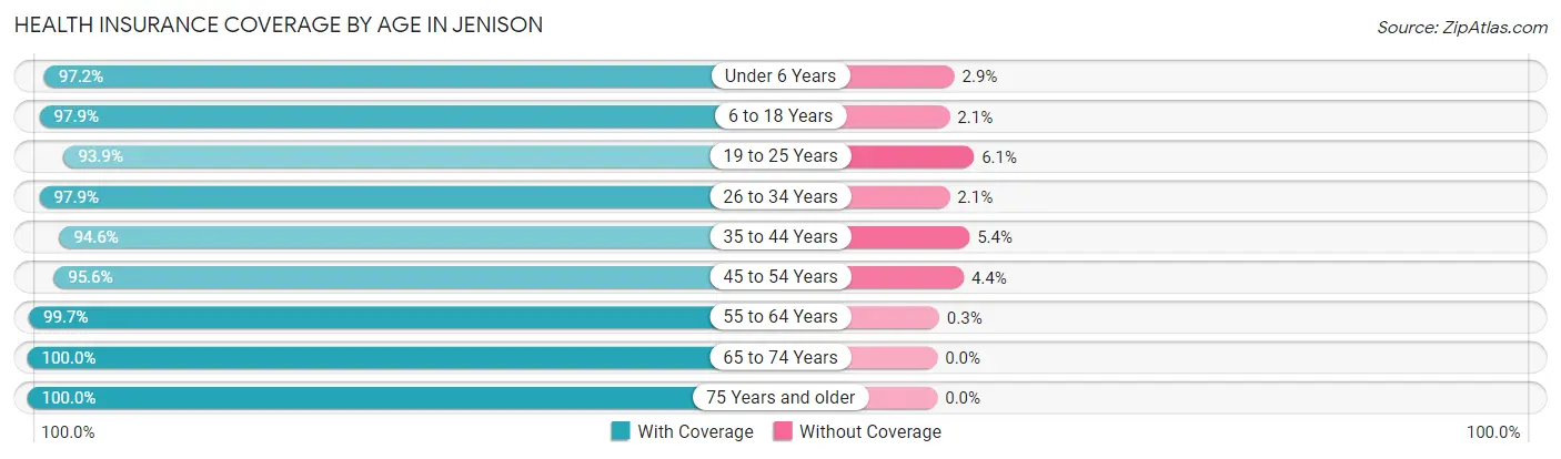 Health Insurance Coverage by Age in Jenison