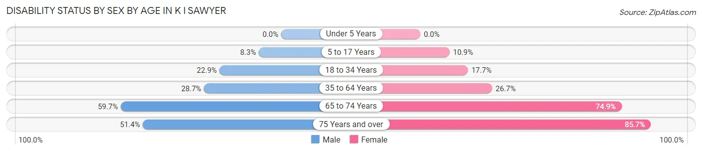 Disability Status by Sex by Age in K I Sawyer