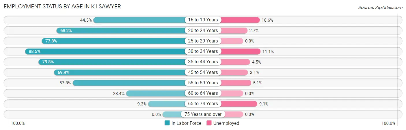 Employment Status by Age in K I Sawyer