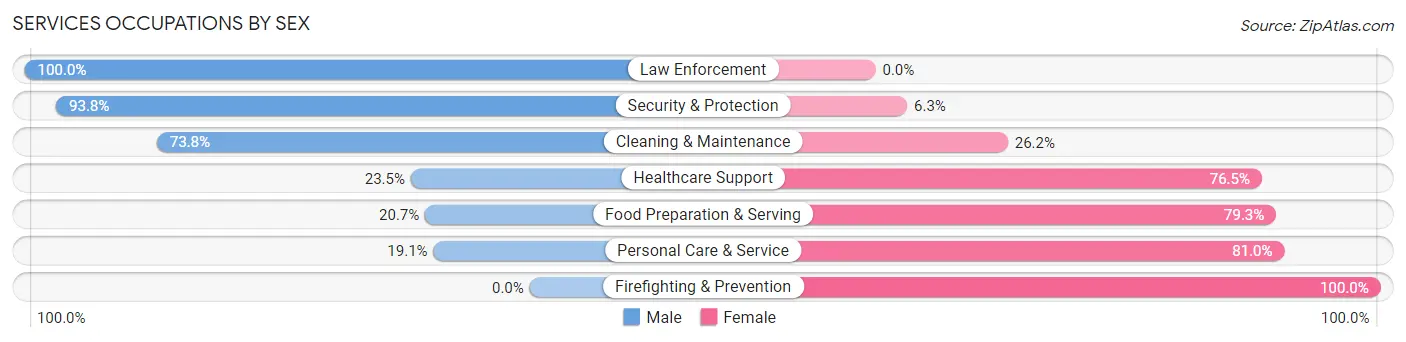 Services Occupations by Sex in K I Sawyer
