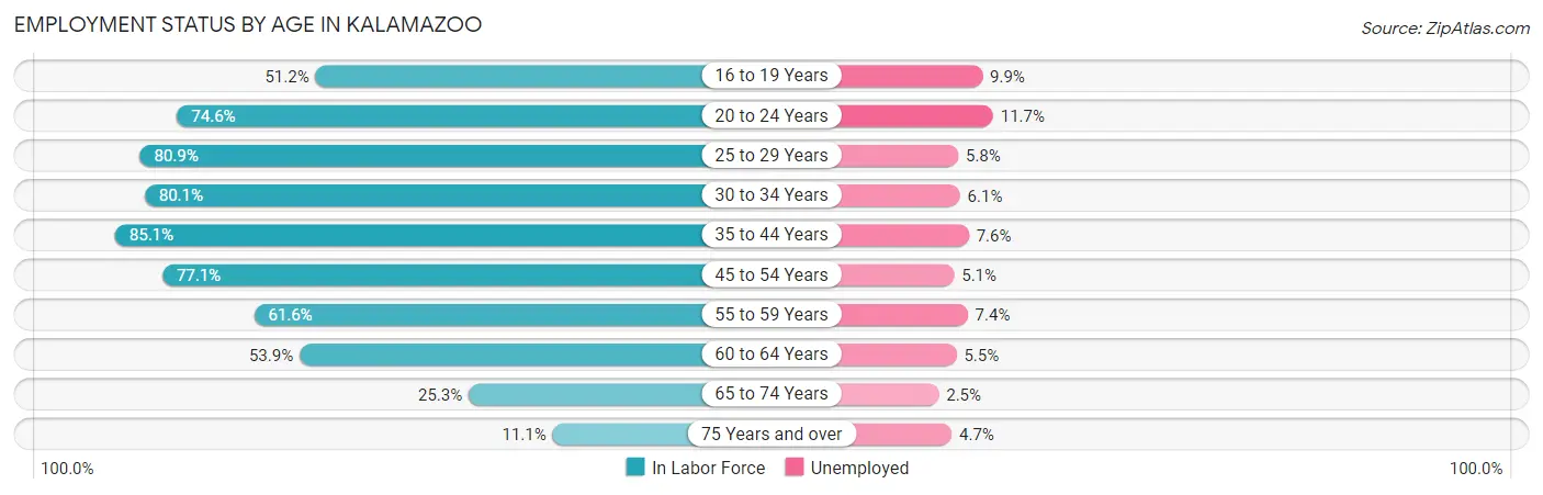 Employment Status by Age in Kalamazoo