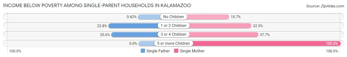 Income Below Poverty Among Single-Parent Households in Kalamazoo