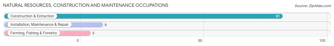 Natural Resources, Construction and Maintenance Occupations in L Anse