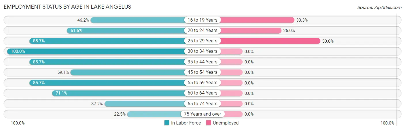 Employment Status by Age in Lake Angelus