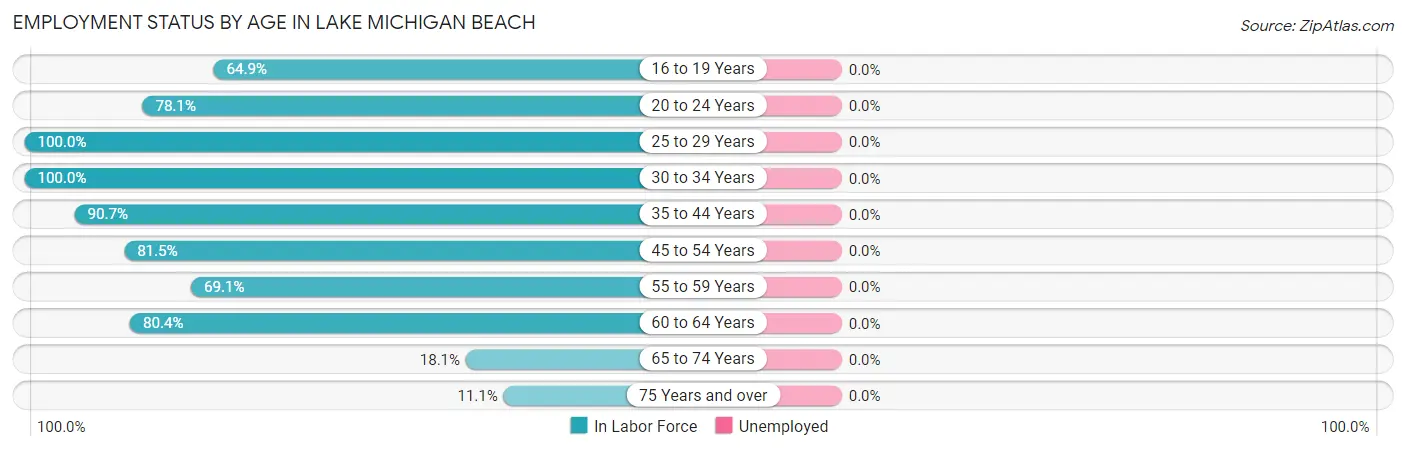 Employment Status by Age in Lake Michigan Beach
