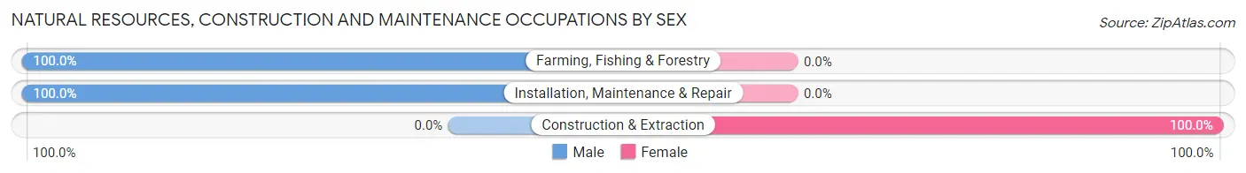 Natural Resources, Construction and Maintenance Occupations by Sex in Lakes of the North