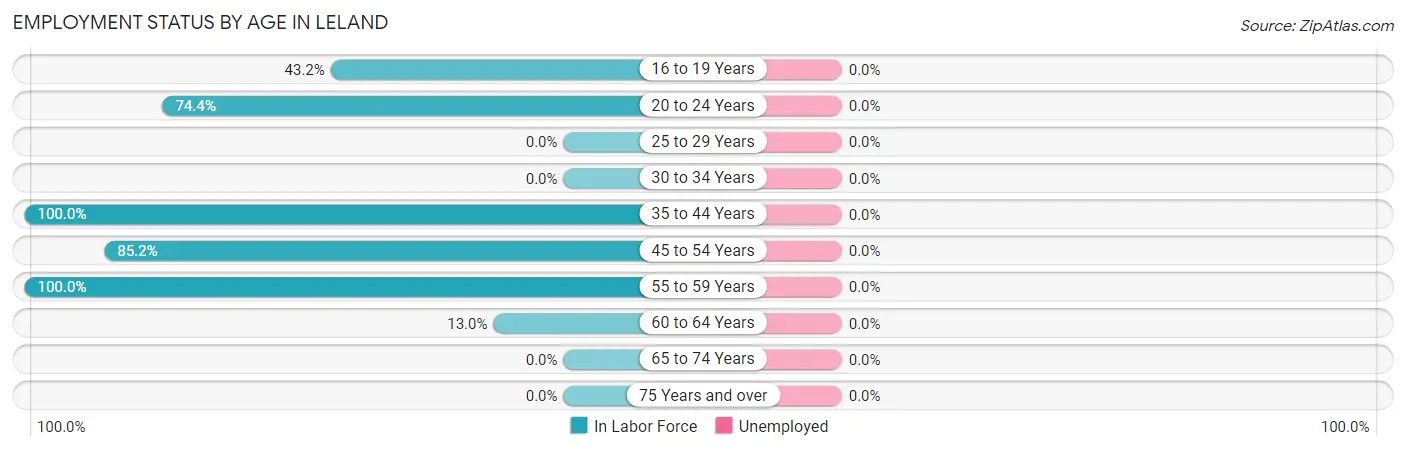 Employment Status by Age in Leland