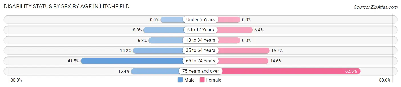 Disability Status by Sex by Age in Litchfield