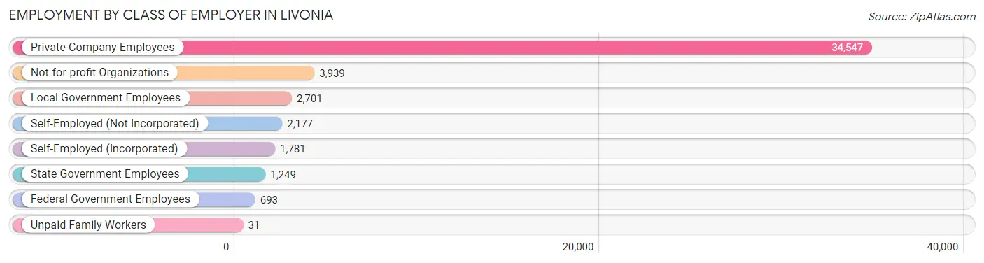 Employment by Class of Employer in Livonia