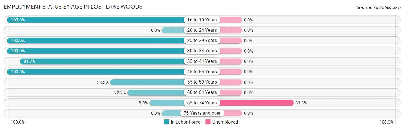 Employment Status by Age in Lost Lake Woods