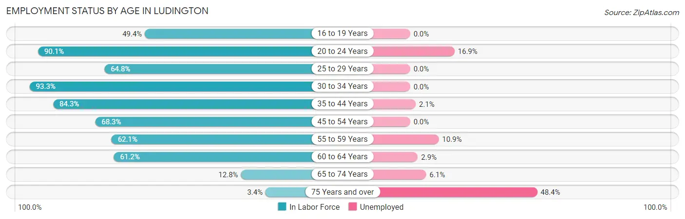 Employment Status by Age in Ludington