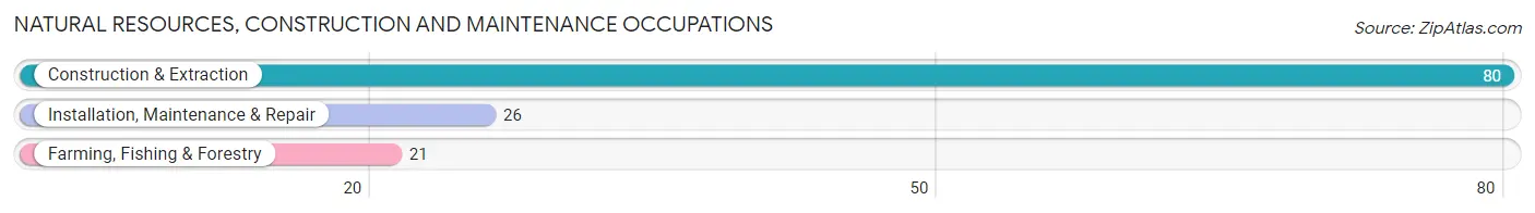 Natural Resources, Construction and Maintenance Occupations in Manistique