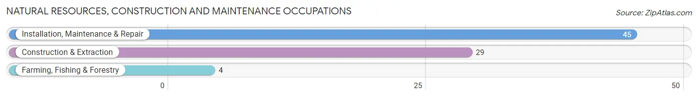 Natural Resources, Construction and Maintenance Occupations in Manton