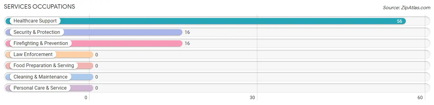 Services Occupations in Maple Grove