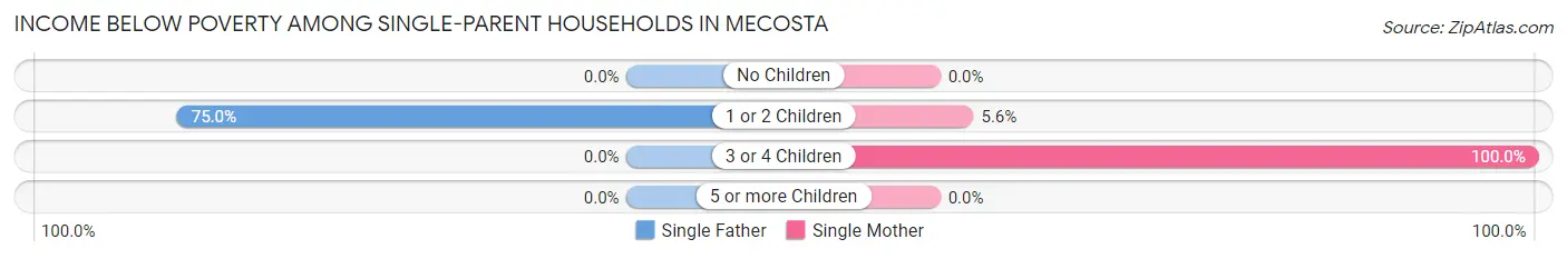 Income Below Poverty Among Single-Parent Households in Mecosta