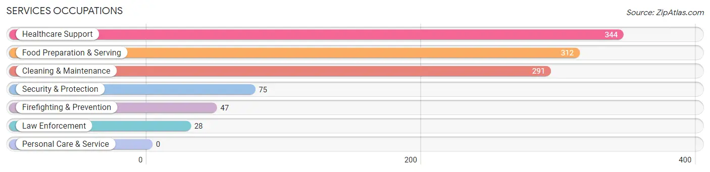 Services Occupations in Melvindale