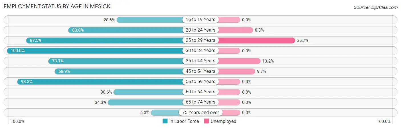 Employment Status by Age in Mesick