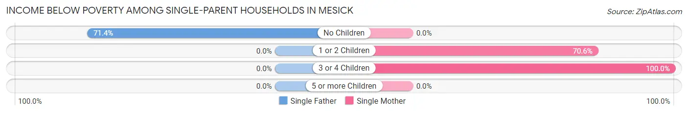 Income Below Poverty Among Single-Parent Households in Mesick