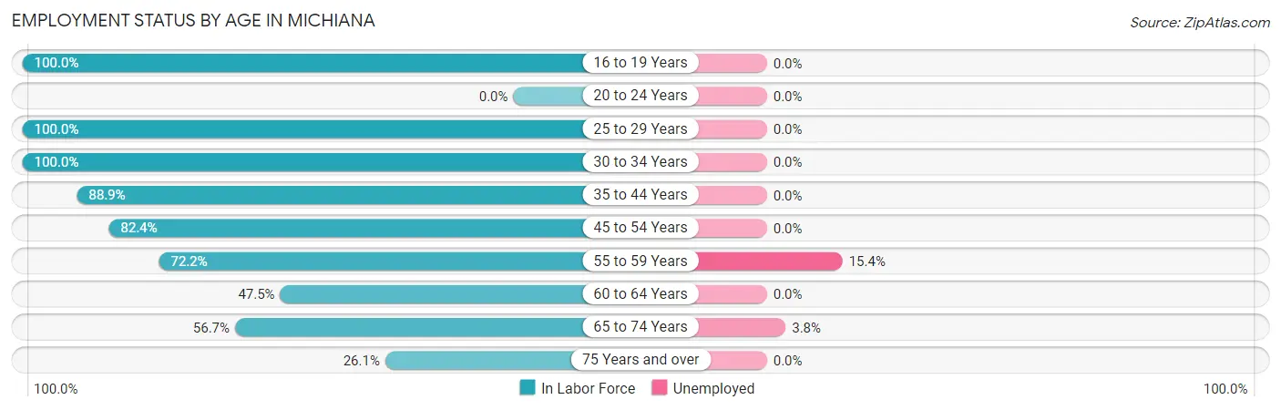 Employment Status by Age in Michiana
