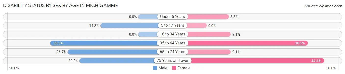 Disability Status by Sex by Age in Michigamme