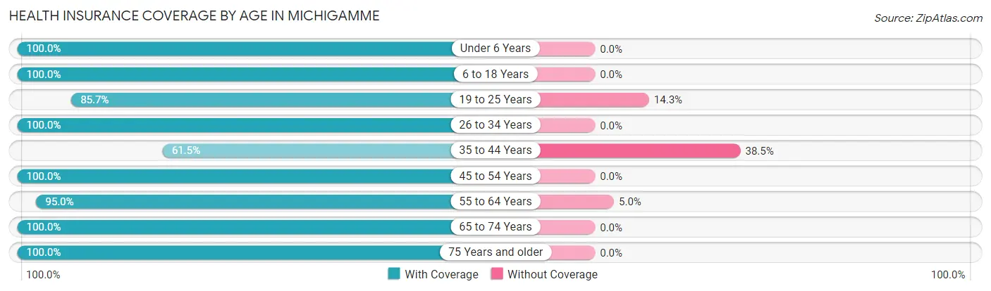 Health Insurance Coverage by Age in Michigamme