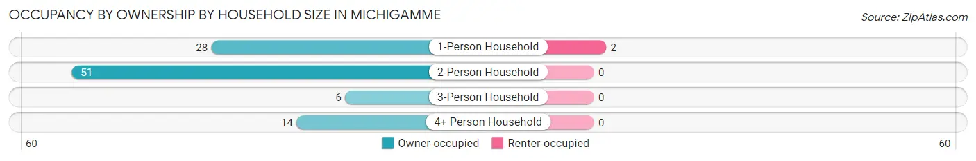 Occupancy by Ownership by Household Size in Michigamme