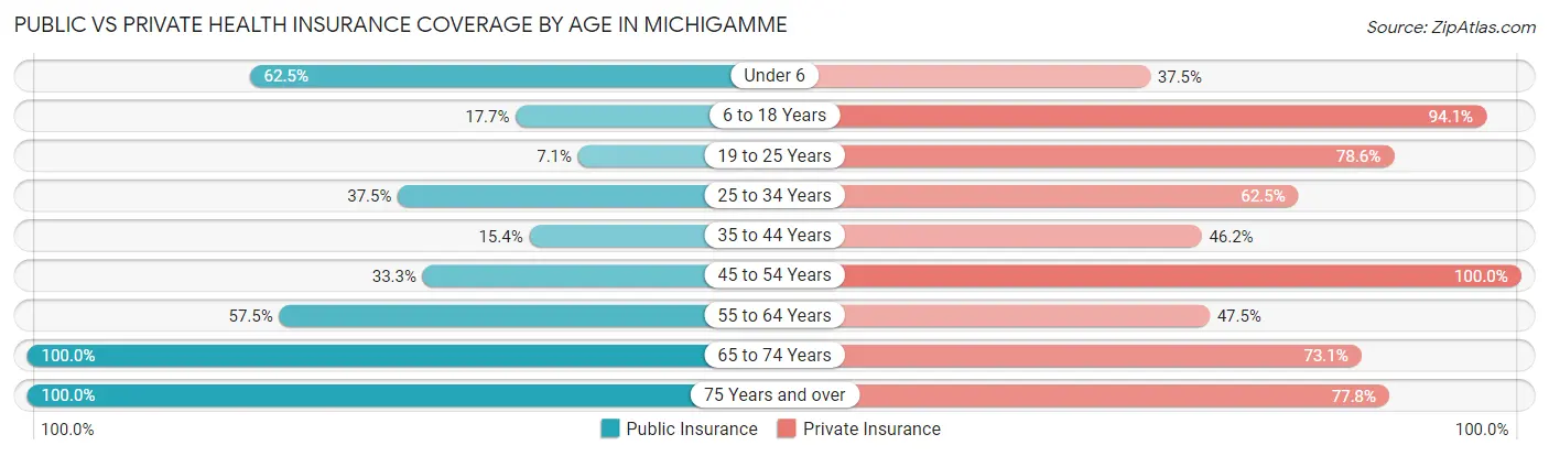 Public vs Private Health Insurance Coverage by Age in Michigamme