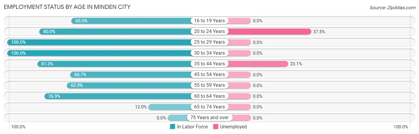 Employment Status by Age in Minden City