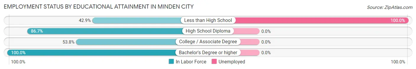 Employment Status by Educational Attainment in Minden City
