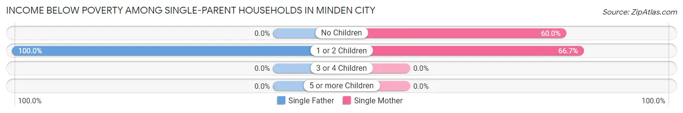 Income Below Poverty Among Single-Parent Households in Minden City