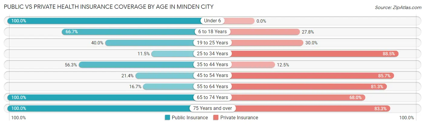 Public vs Private Health Insurance Coverage by Age in Minden City
