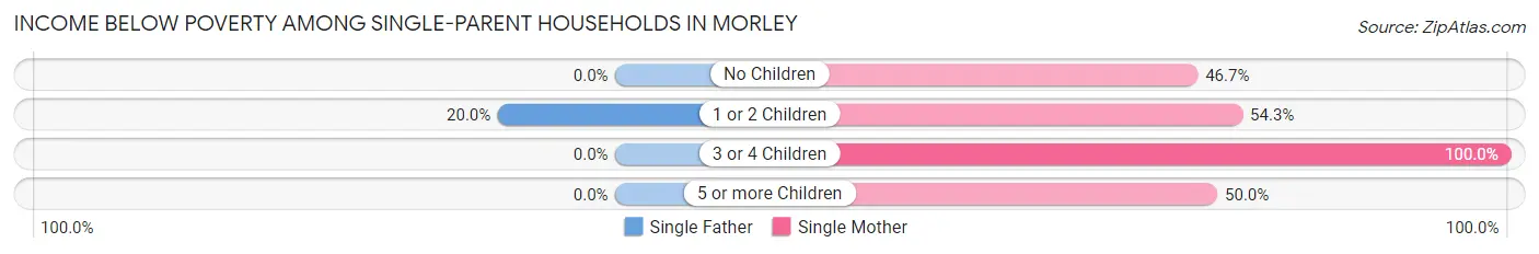 Income Below Poverty Among Single-Parent Households in Morley