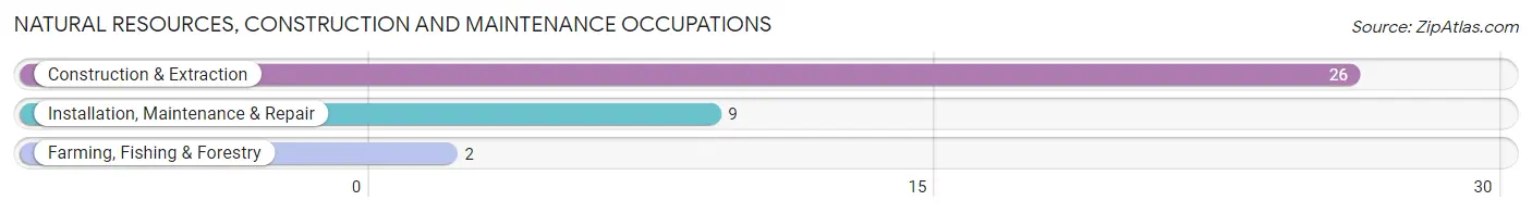 Natural Resources, Construction and Maintenance Occupations in Mulliken