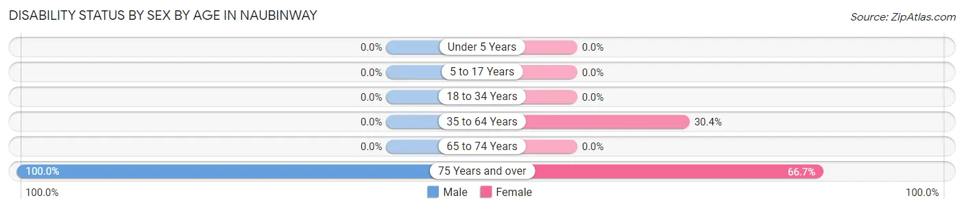 Disability Status by Sex by Age in Naubinway