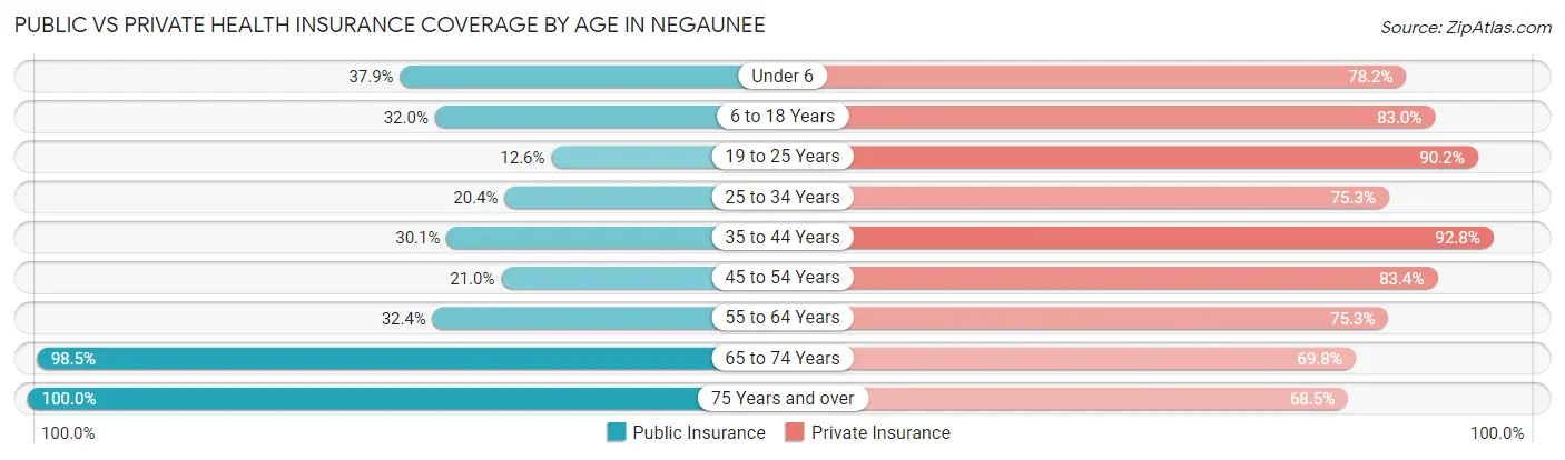 Public vs Private Health Insurance Coverage by Age in Negaunee