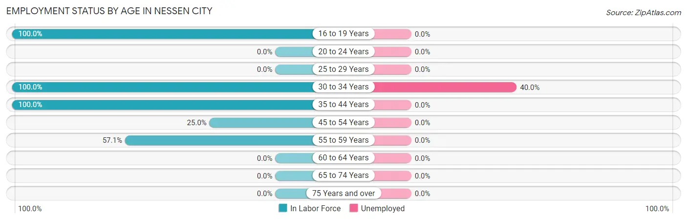 Employment Status by Age in Nessen City