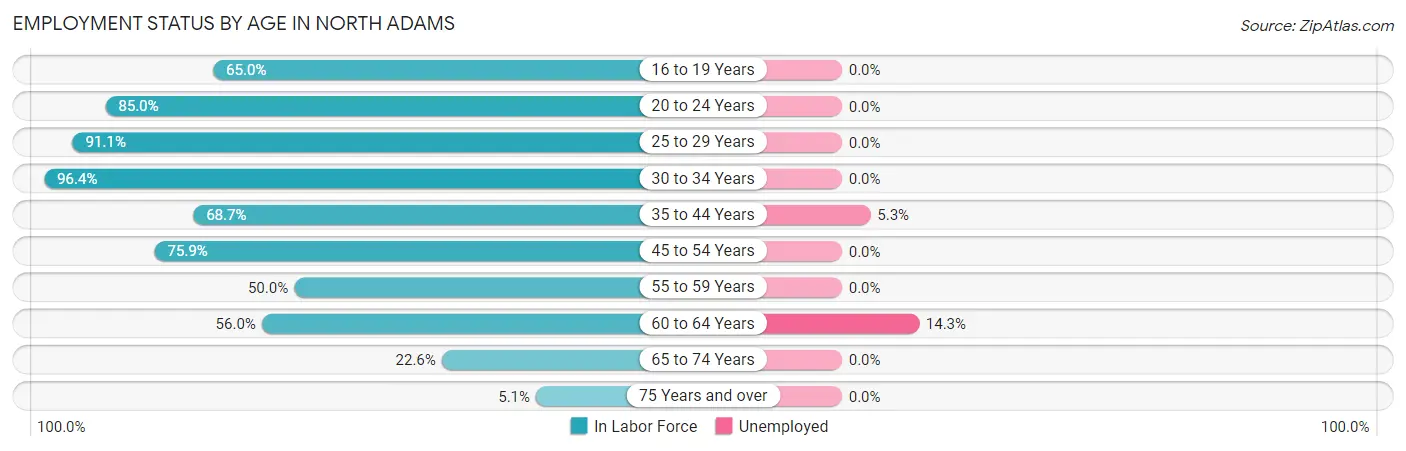 Employment Status by Age in North Adams