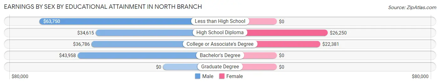 Earnings by Sex by Educational Attainment in North Branch