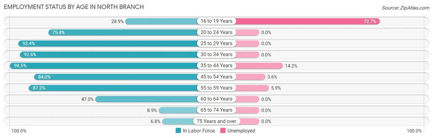 Employment Status by Age in North Branch