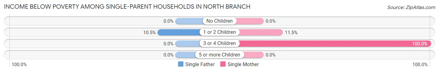 Income Below Poverty Among Single-Parent Households in North Branch