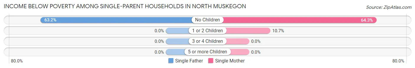 Income Below Poverty Among Single-Parent Households in North Muskegon