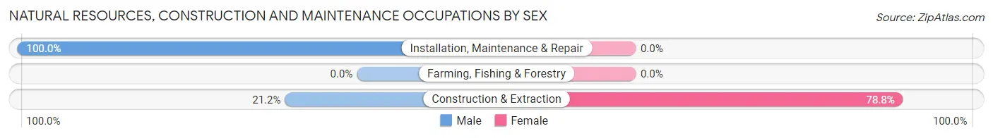 Natural Resources, Construction and Maintenance Occupations by Sex in North Muskegon